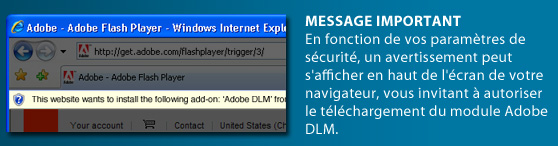 Flash_DLM_marquee_fr_xp.jpg