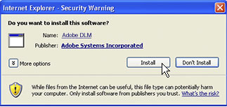 Step 2: Do you want to install this software?