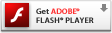 Baixe o Adobe Flash player